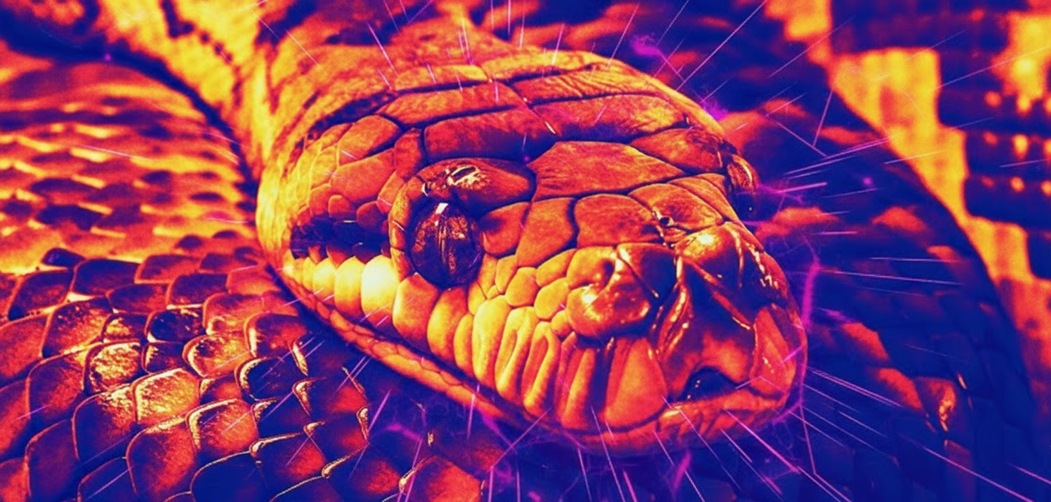 How Snakes Detect Prey in Darkness